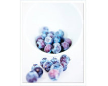 purple kitchen photograph kit chen decor photo blueberries blue purple ...