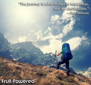 The journey is what brings us happiness, not the destination.