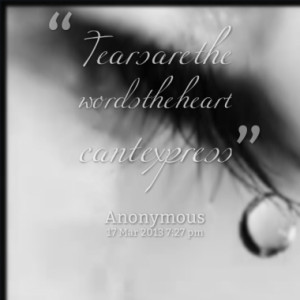 tears are the words the heart cant express quotes from halle ellen ...