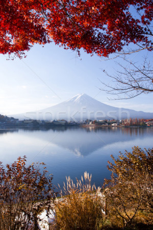 Stock photo Beautiful landscape of Mountain Fuji on morning time in