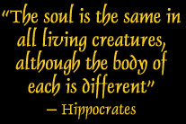 To arrange a phone consultation or an appointment if in the Florida ...