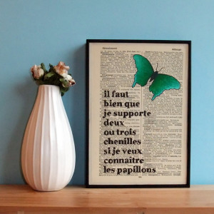 French Butterfly On Vintage Book Page The Little Prince Quote