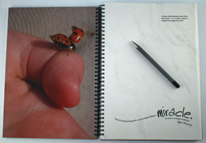 Journal of Awe and Wonder (A4)