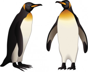Emperor Penguin Clip Art