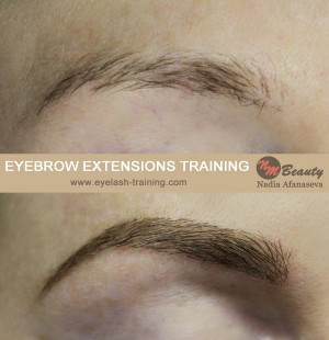 Search Results for: Eyebrow Extensions