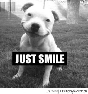 pies, śmieszne, humor, ciekawe, just smile, uśmiech, zwierzęta