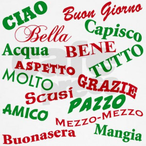 italian_sayings_maternity_tshirt.jpg?color=White&height=460&width=460 ...