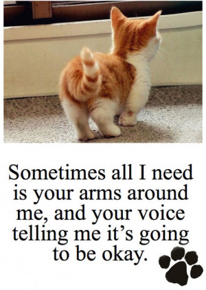 cute kittens with quotes cute cats and kittens with quotes