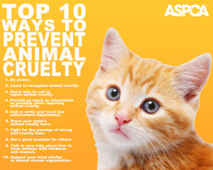 People should understand that animals have done nothing wrong to human ...