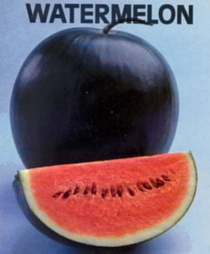 Home » Blog » Vegetables » Watermelon » Watermelon, Sugar Baby