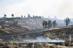 wildfire burns off Highway 385 at Wind Cave National Park in South ...