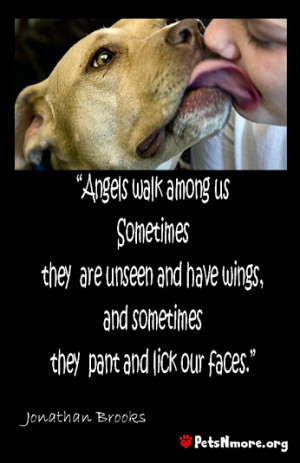 angels walk among us who have wings but sometimes they are dogs ...