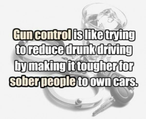 gun control quote