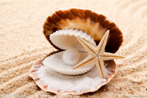 沙滩 贝壳 珍珠