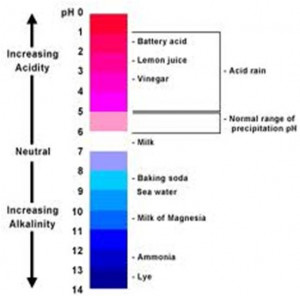 Images Neutralization