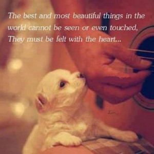 The Best And Most Beautiful things In the world cannot be seen or even ...