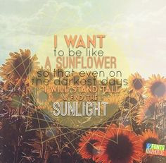 ... darkest of days I will stand tall and find the light. sunflower quote