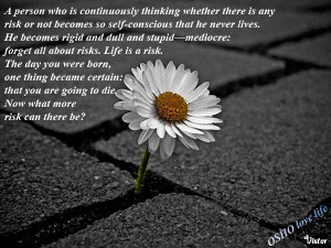 life is a risk