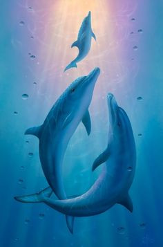 Dolphin art and Inspirational quotes