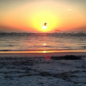 Beautiful Sunrise Quotes