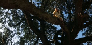 Young Jenny Curran Quotes and Sound Clips