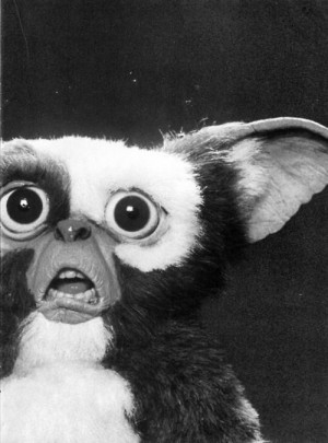 ... and White movie creepy white classic horror gore black gremlins and