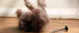 Funny Pictures Your Dust Bunnies Quit
