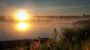 2560 x 1440 keywords morning fog morning fog viewed 623 times tags