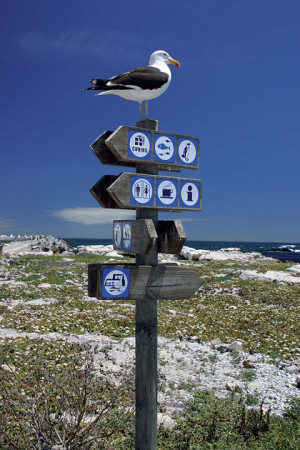 South Africa Acmodation Travel