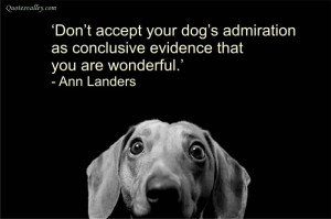 Don’t Accept Your Dog’s Admiration