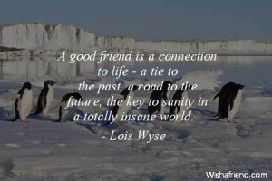 bestfriend-A good friend is a connection to life - a tie to the past ...