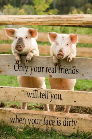... Friendship, Friends Love, Best Friends, Farms, Pigs, Real Friends