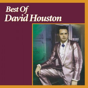 The Best of David Houston