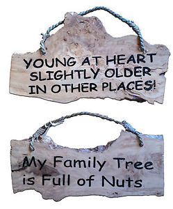 WOODEN-HANGING-FAMILY-OF-NUTS-SAYINGS-SIGNS-NOVELTY-FUNNY-HOME-GARDEN ...