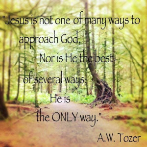 ... nor is He the best of several ways. He is the ONLY way.