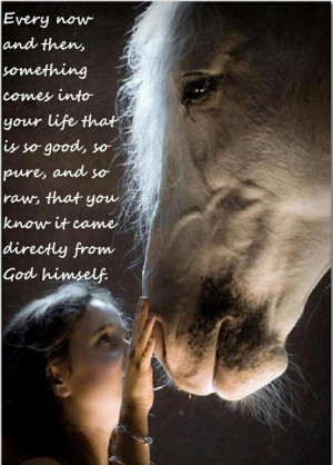 God / horse quote. I know this to be true with my horse. I thank God ...