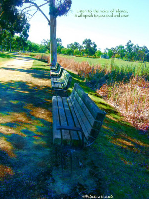 Listen to the voice of silence, it will speak to you loud and clear.