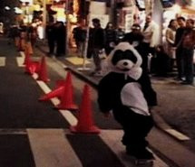 funny gif jackass lol panda full size