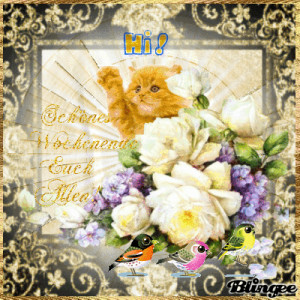 Funny Quotes Contact Dmca...