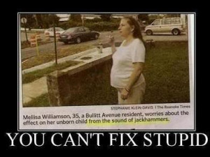 You can't fix stupid! photo Stupid.jpg