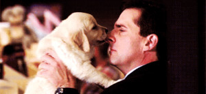 ... holds up a puppy who licks his nose during an episode of The Office