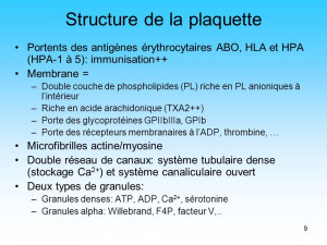 Structure de la plaquette Portents des antigènes érythrocytaires ...