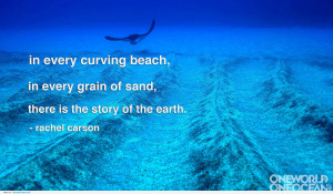 ... in every grain of sand there is the story of the Earth ~ Earth Quote