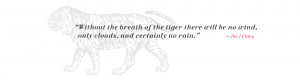 Save Tiger Quotes Slogan on Save Tigers