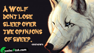 Wolf Dont Lose Sleep Quote by Unknown @ Quotespick.com