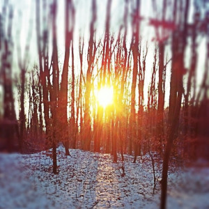 Good Morning Winter Sun
