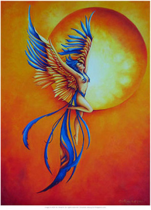 Funny Quotes Contact Dmca...