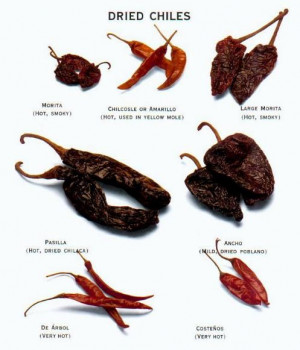... Girls, Dry Chile, Chilis Peppers, Mexicans Chile, Chile Infographic