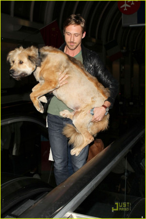 ... com/wp-content/uploads/2011/06/gosling-dog/ryan-gosling-dog-lax-12.jpg