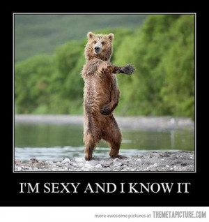 Funny Grizzly Bear Dancing Image Heart